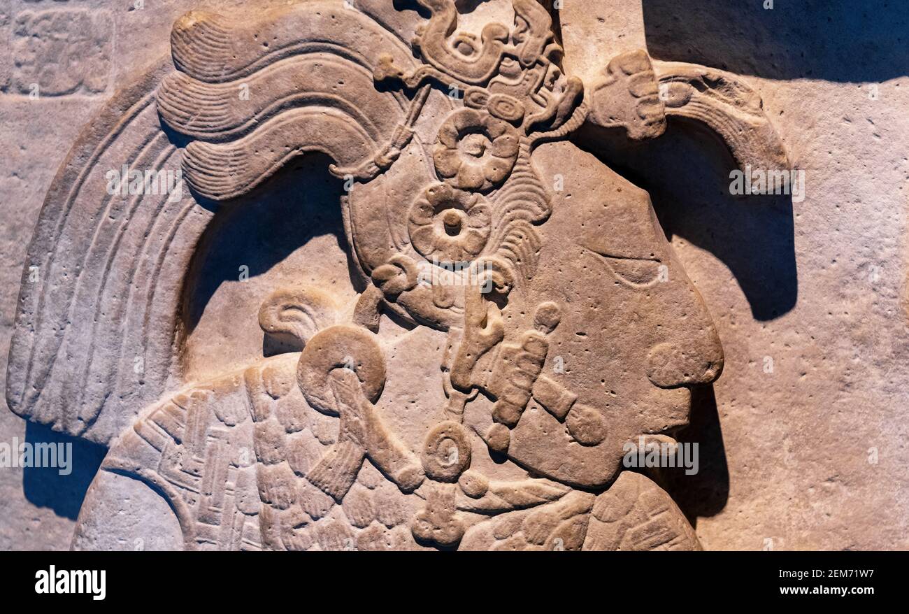 Bas Reliefschnitzerei in einem Grabstein eines maya-Herrscherkönigs in Mexiko-Stadt, Mexiko. Konzentrieren Sie sich auf Nase und Lippen. Stockfoto
