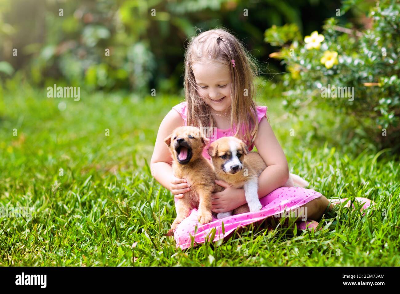 Kinder spielen mit niedlichen kleinen Welpen. Kinder und Baby Hunde spielen in den sonnigen Garten. Kleines Mädchen mit Welpen. Kind mit Hund. Familie und p Stockfoto