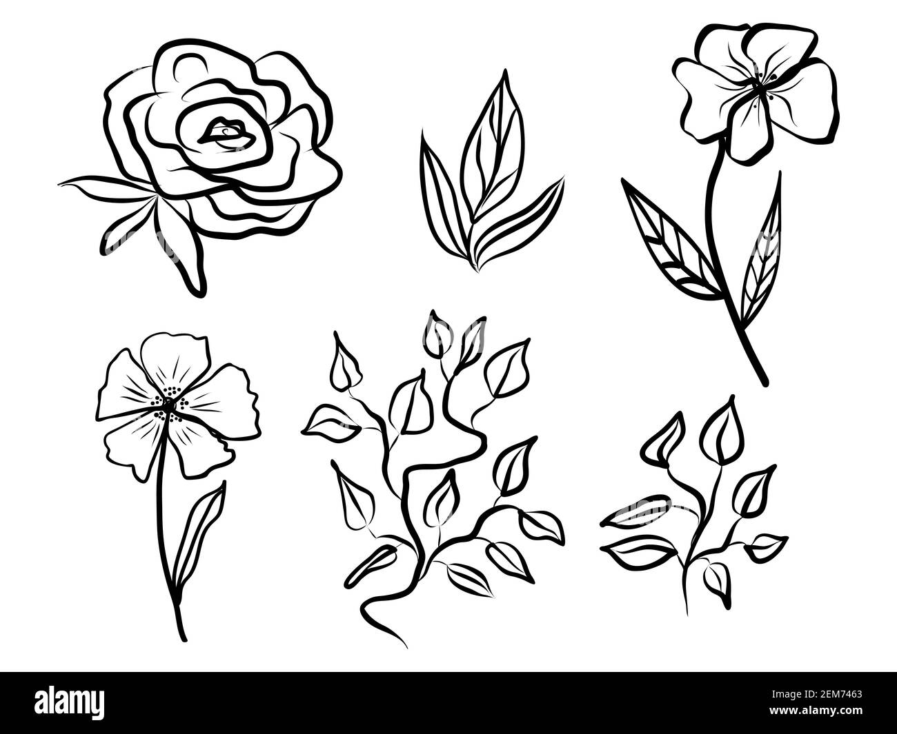 Set von abstrakten Blumen und Blättern. Handgezeichnete Linienkunst Kontur schwarze Zeichnung, botanisches Element. Vektor-Illustration für Grußkarten und invitati Stock Vektor