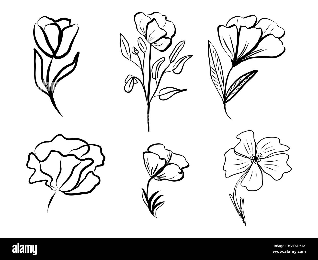 Set von abstrakten Blume. Handgezeichnete Linienkunst Kontur schwarze Zeichnung, botanisches Element. Vektorgrafik für Grußkarten und Einladungen, isolat Stock Vektor