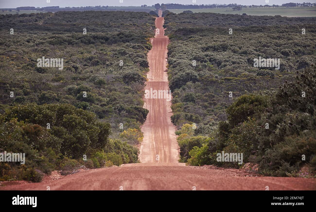 Gerade rote Schotterstraße in Western Australia Stockfoto