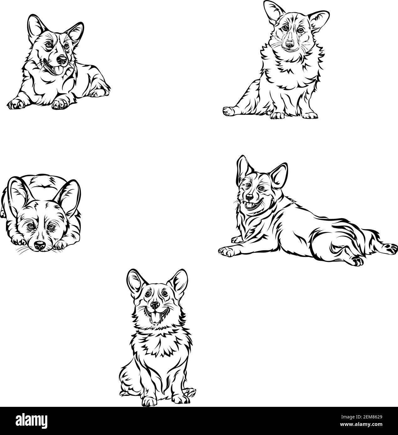 Hund, Corgi, verschiedene Posen, Bewegungen und Winkel der Figuren, schwarz, Silhouette, set, Vektor, Abbildung Stock Vektor