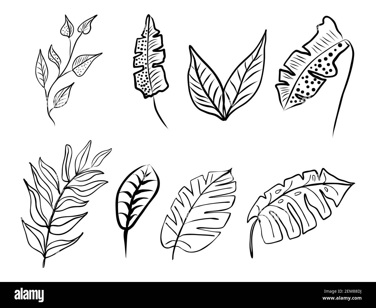 Satz von abstrakten Blättern. Handgezeichnete Linienkunst Kontur schwarze Zeichnung, botanisches Element. Vektorgrafik für Grußkarten und Einladungen, isolat Stock Vektor