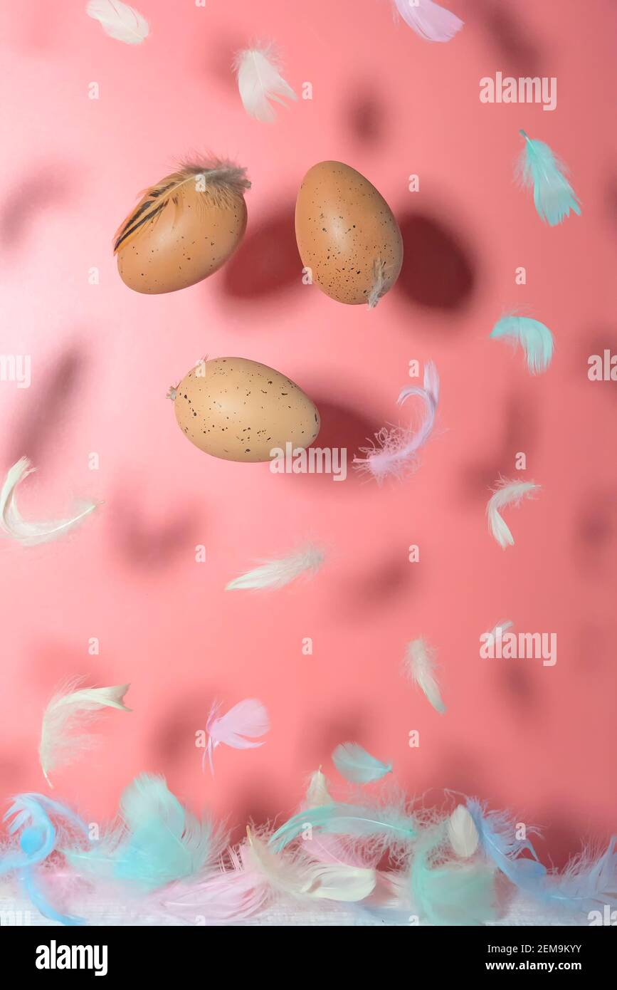Bunte Federn und Hühnereier auf rosa Hintergrund. Levitationseffekt. Konzept, ostern. Hochwertige Fotos Stockfoto