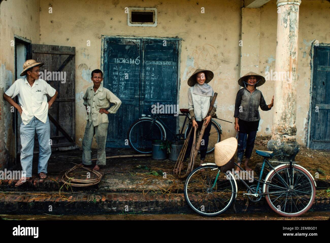 Umpflanzen Von Reis, Nordvietnam, Juni 1980 Stockfoto