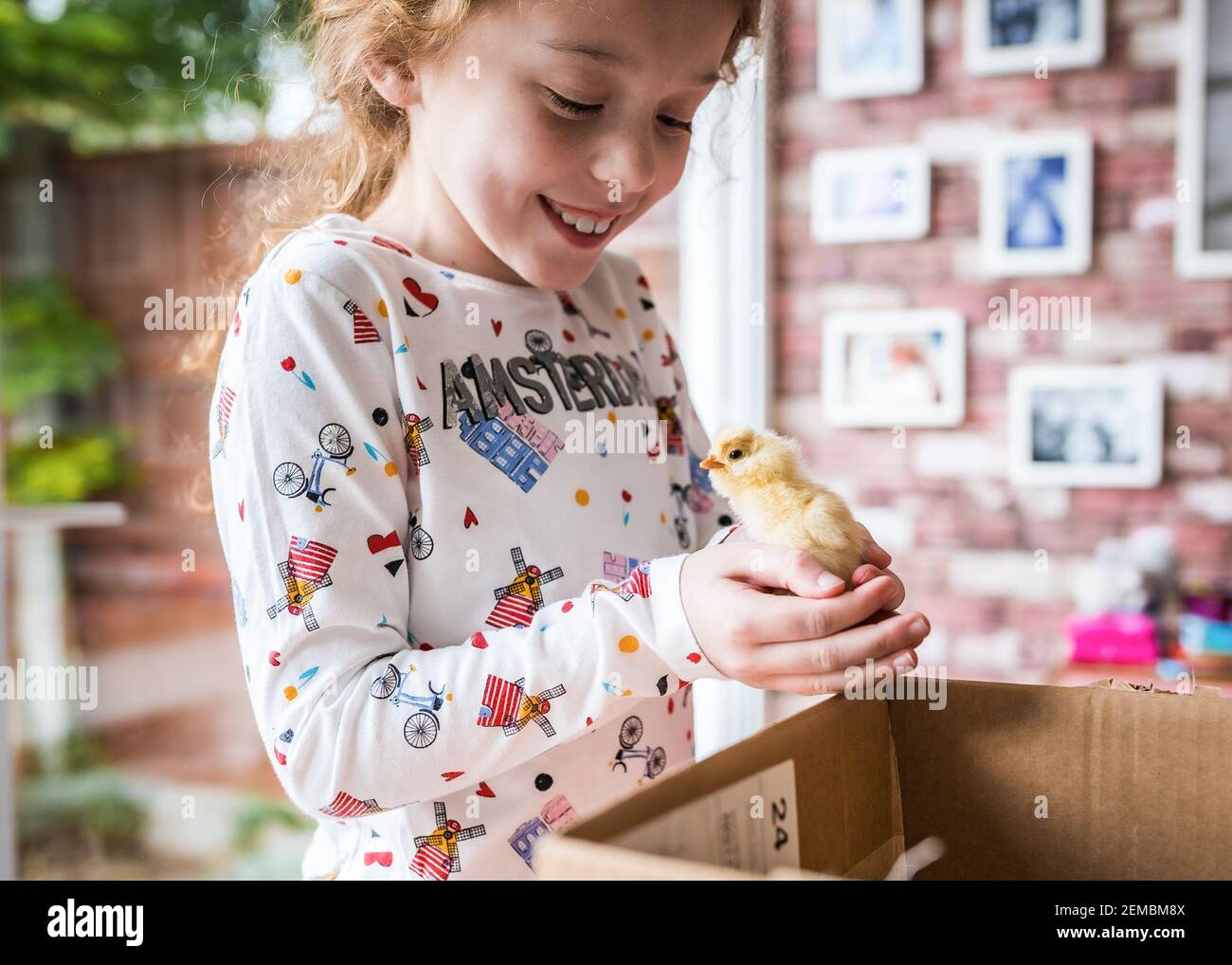 Junges Mädchen glücklich mit einem netten flauschigen gelben neues Baby Küken liebenswert nur geschlüpft zu Hause im Inkubator sie ist Aufgeregt und Huhn Blick auf die Kamera Stockfoto