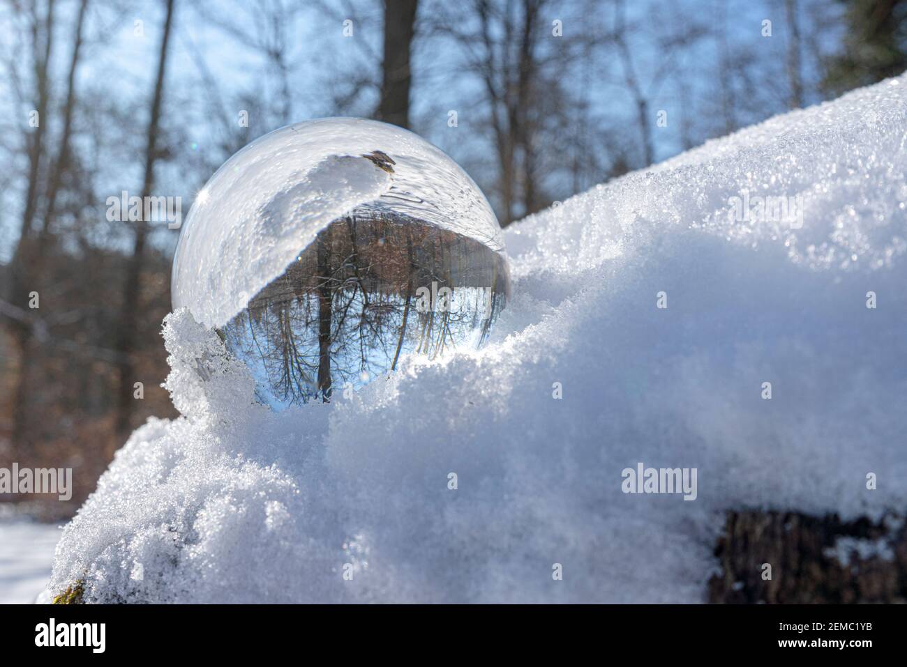 Glaskugel oder Linsenball im Schnee. Der Hintergrund mit Bäumen und anderen Objekten spiegelt sich in der Glaskugel Stockfoto