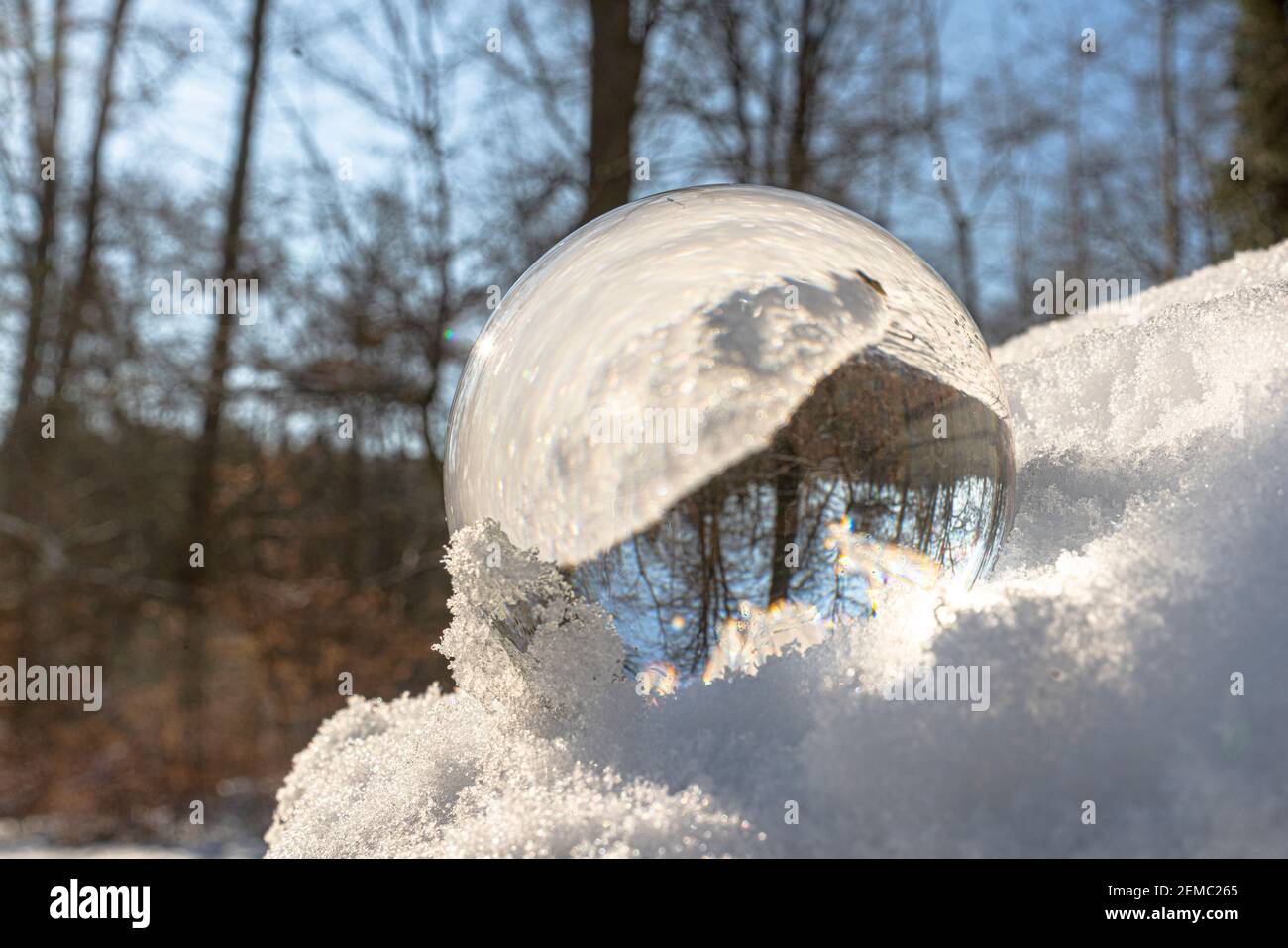 Glaskugel oder Linsenball im Schnee. Der Hintergrund mit Bäumen und anderen Objekten spiegelt sich in der Glaskugel Stockfoto