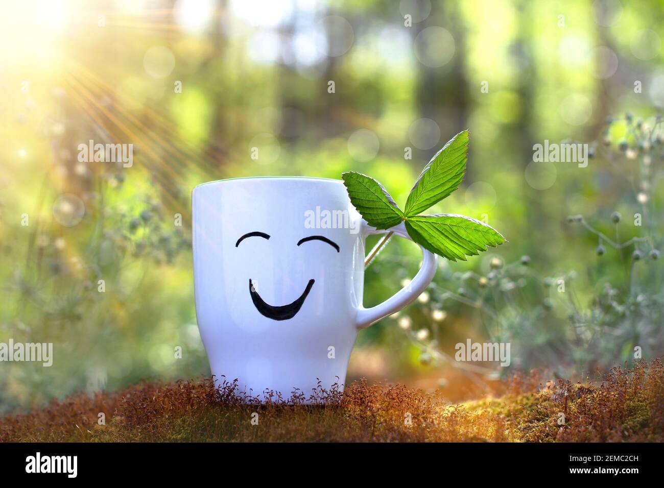 Positive Tasse mit Lächeln auf sonnigen grünen Hintergrund der Natur. Grußkarte. Ort für Ihren Text Stockfoto