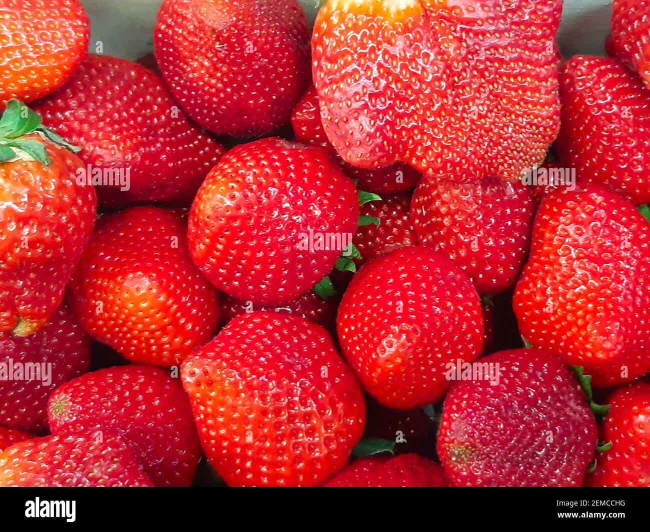 Frische Erdbeeren in einem hölzernen Kasten Stockfoto