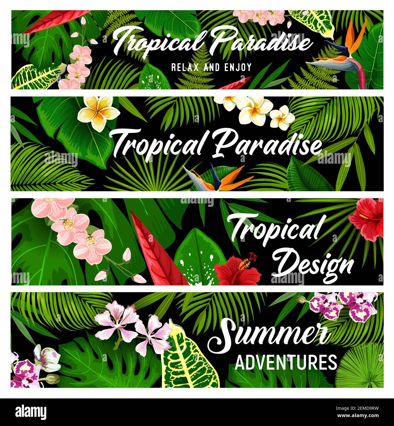 Tropische Pflanzen und Blumen Vektor Banner, exotische Palmblätter und Blüten. Florale Karten mit tropischen hawaiiblumen Exotischer Hibiskus, Plumeria, Orch Stock Vektor