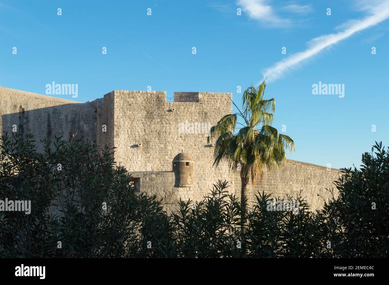 Dubrovnik, Detail der defensiven Steinmauern, die Altstadt und Palmen umgeben Stockfoto