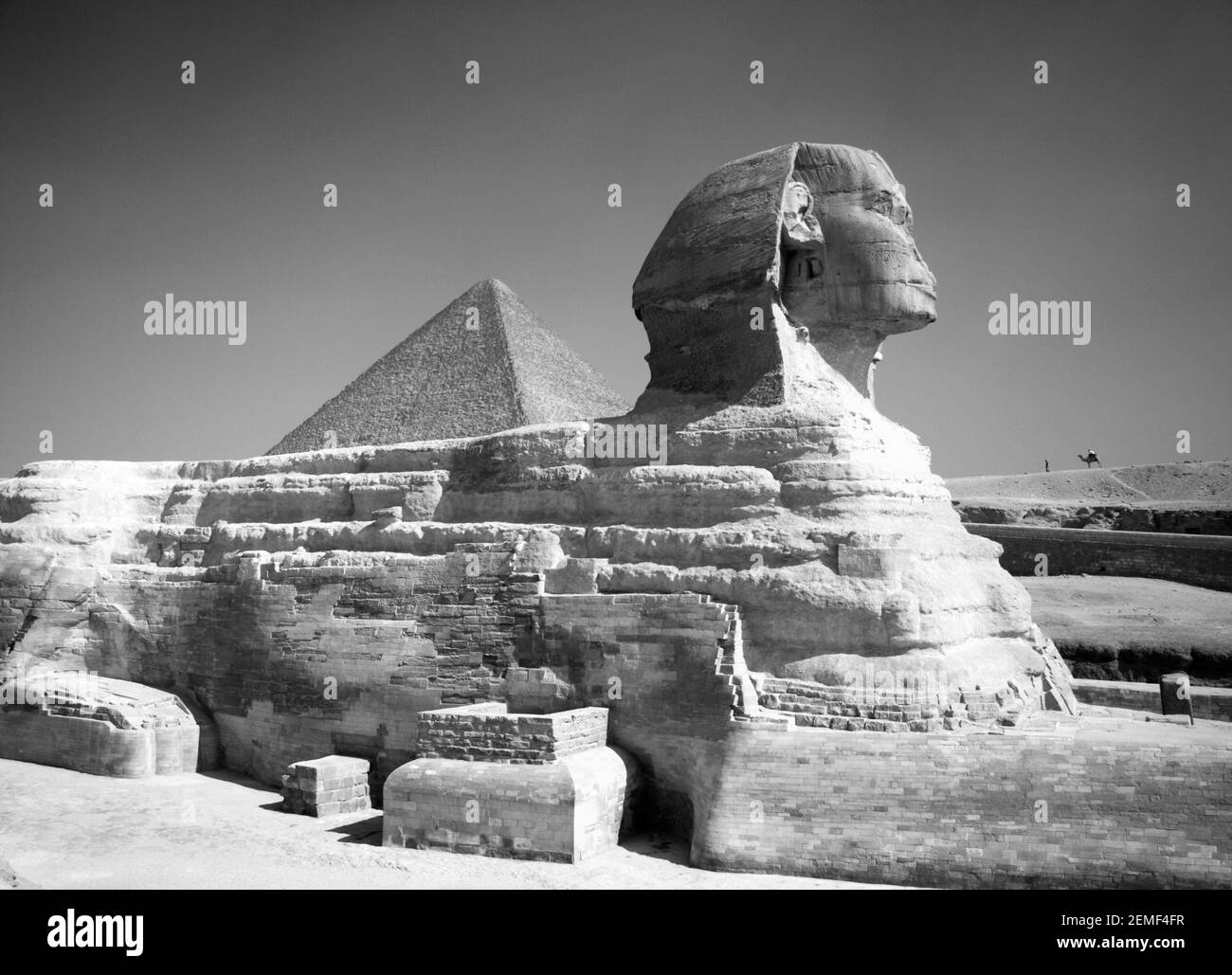 Monochrom, schwarz-weiß, Bild der Großen Sphinx mit der Großen Pyramide von Khufu, Cheops, dahinter. Gizeh, Kairo, Ägypten Stockfoto