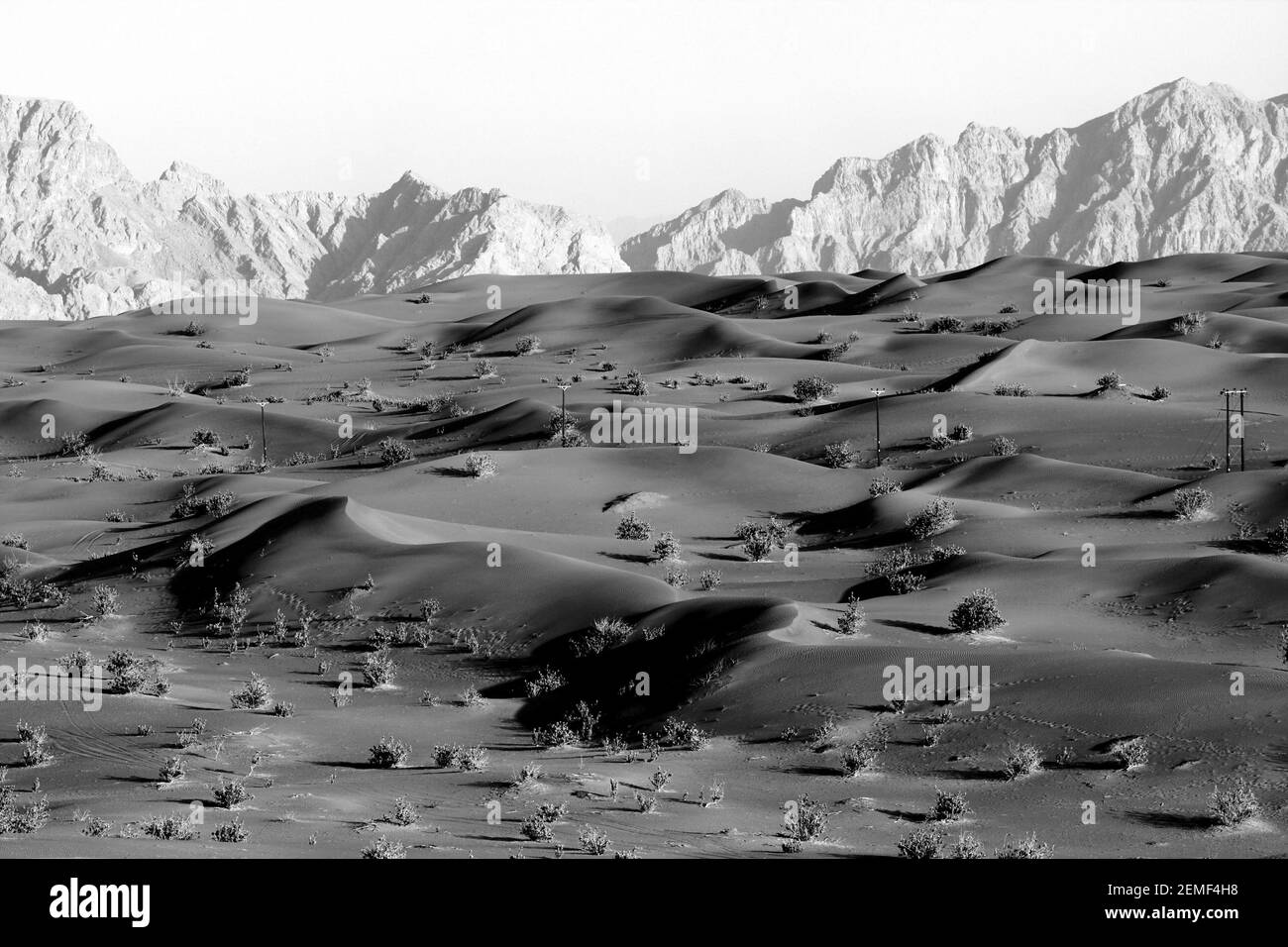 Schwarzweiß, Bild von Sanddünen, Emirat Abu Dhabi, Vereinigte Arabische Emirate. Die Berge in der Ferne liegen im Oman. Stockfoto