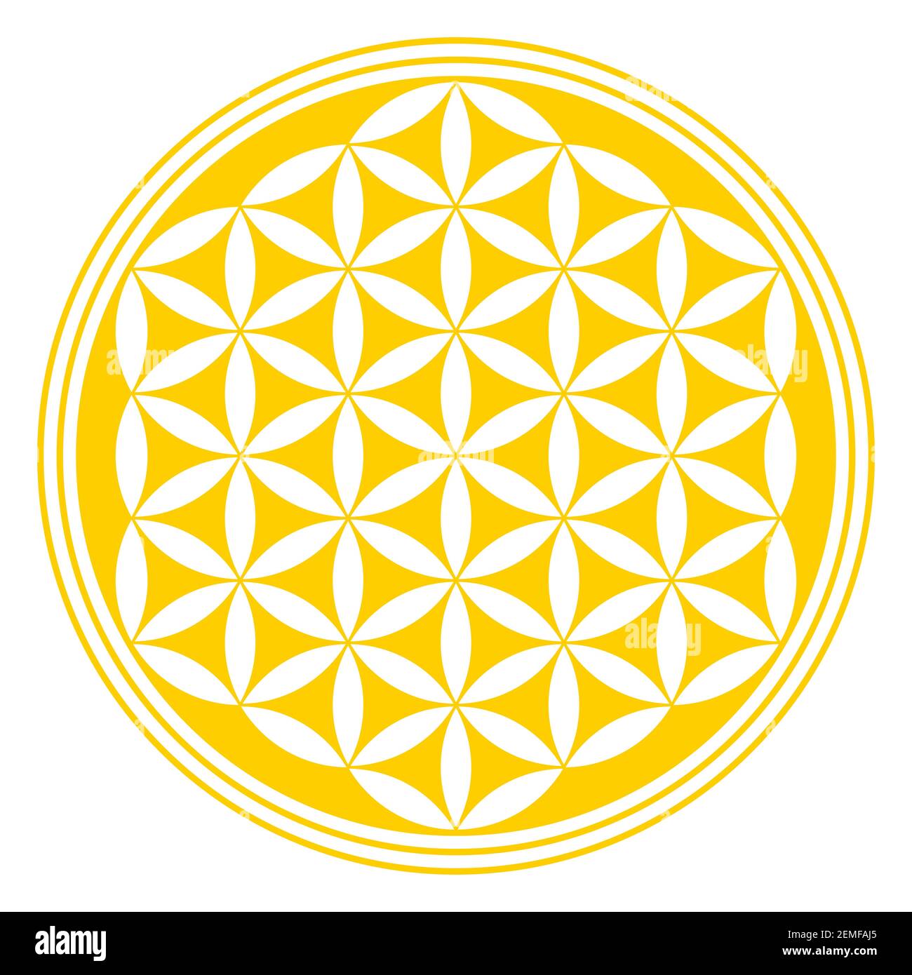 Umgekehrte goldene Blume des Lebens. Eine geometrische Figur, ein spirituelles Symbol und eine heilige Geometrie. Überlappende Kreise bilden ein Mandala, und Blumenmuster. Stockfoto