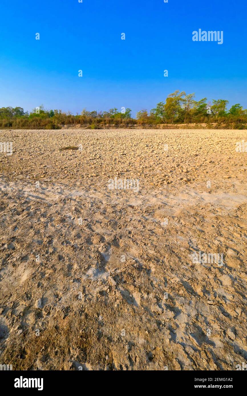 Dry River Bed, Feuchtgebiete, Royal Bardia National Park, Bardiya National Park, Nepal, Asien Stockfoto