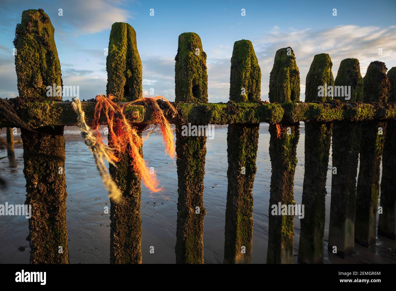 Ausgefranste Seil gebunden an verfaulenden aufrechten Holzpfosten der alten Seeverteidigung am Winchelsea Strand, Winchelsea, East Sussex, England, Vereinigtes Königreich, Europa Stockfoto