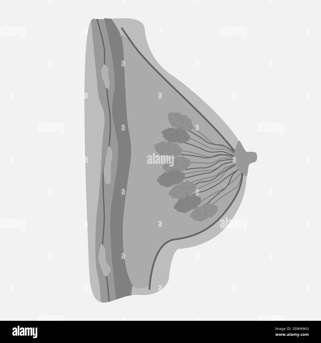 Ikone der menschlichen inneren Organe. Stock Vektor