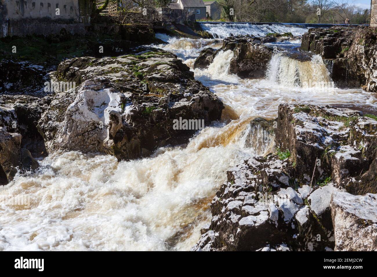 Linton Falls, ein landschaftlich reizvoller Wasserfall am Fluss Wharfe bei Grassington in den Yorkshire Dales Stockfoto