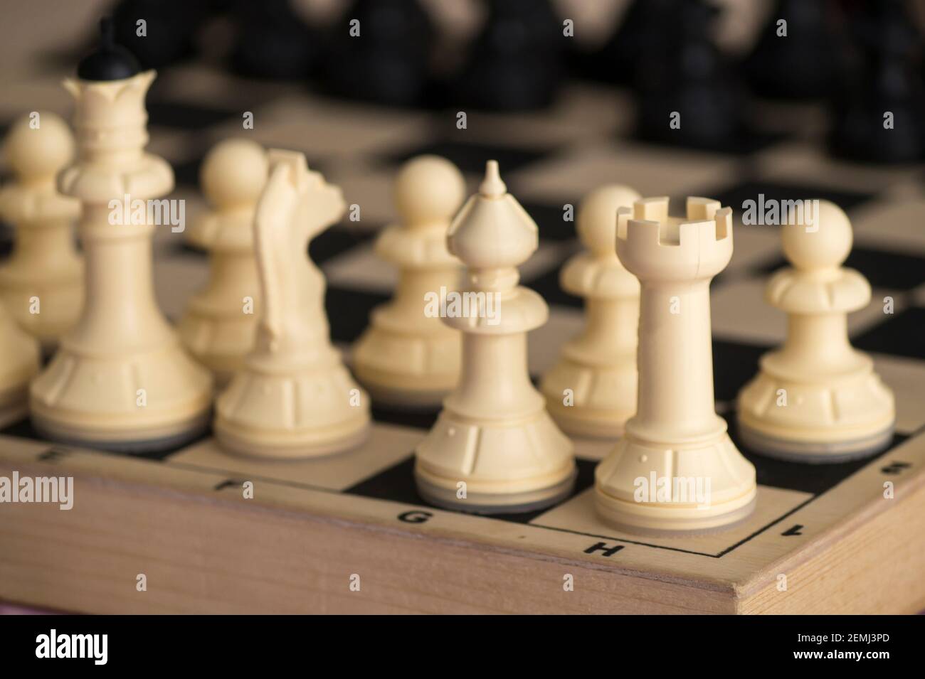 Weiße Schachfiguren stehen auf einem Holzbrett. Holzschach aus nächster Nähe Stockfoto