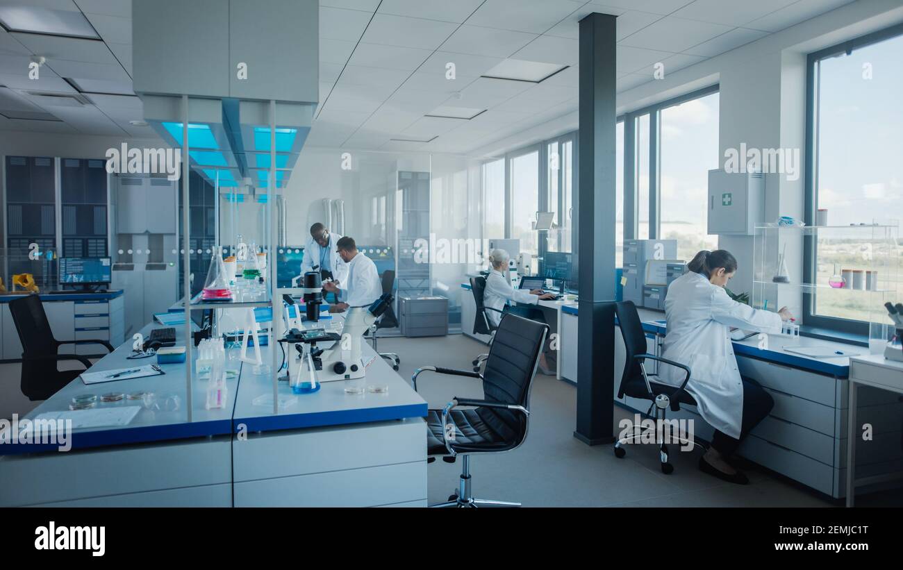Modernes medizinisches Forschungslabor: Team von Wissenschaftlern, die mit Pipette arbeiten, mikrobiologische Proben analysieren, sprechen. Advanced Scientific Lab für Stockfoto