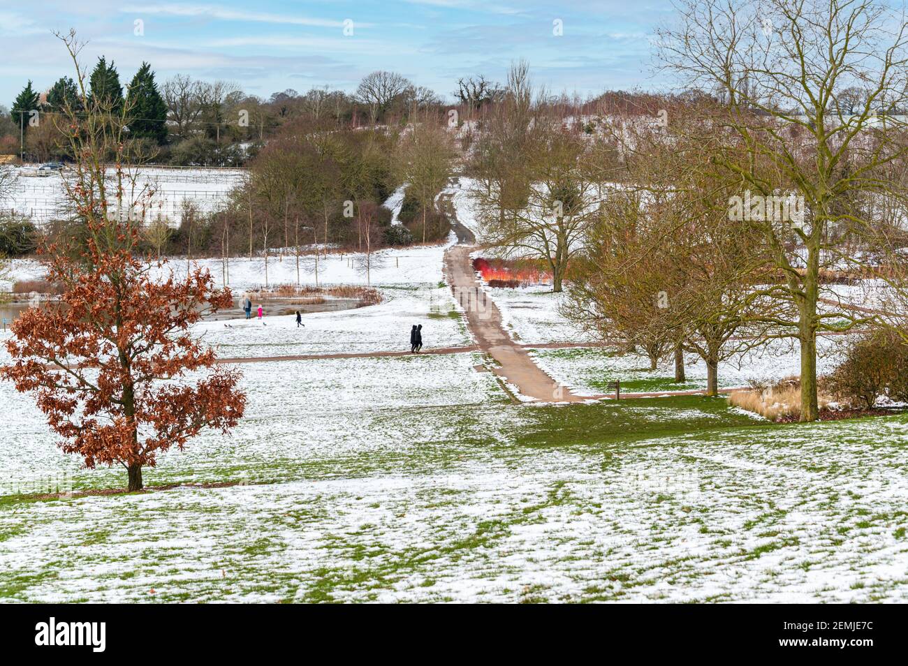 Genießen Sie Winterspaziergänge in der RHS Hyde Hall, Essex. Überall Schnee, aber klare Wege für sichere Spaziergänge. Stockfoto