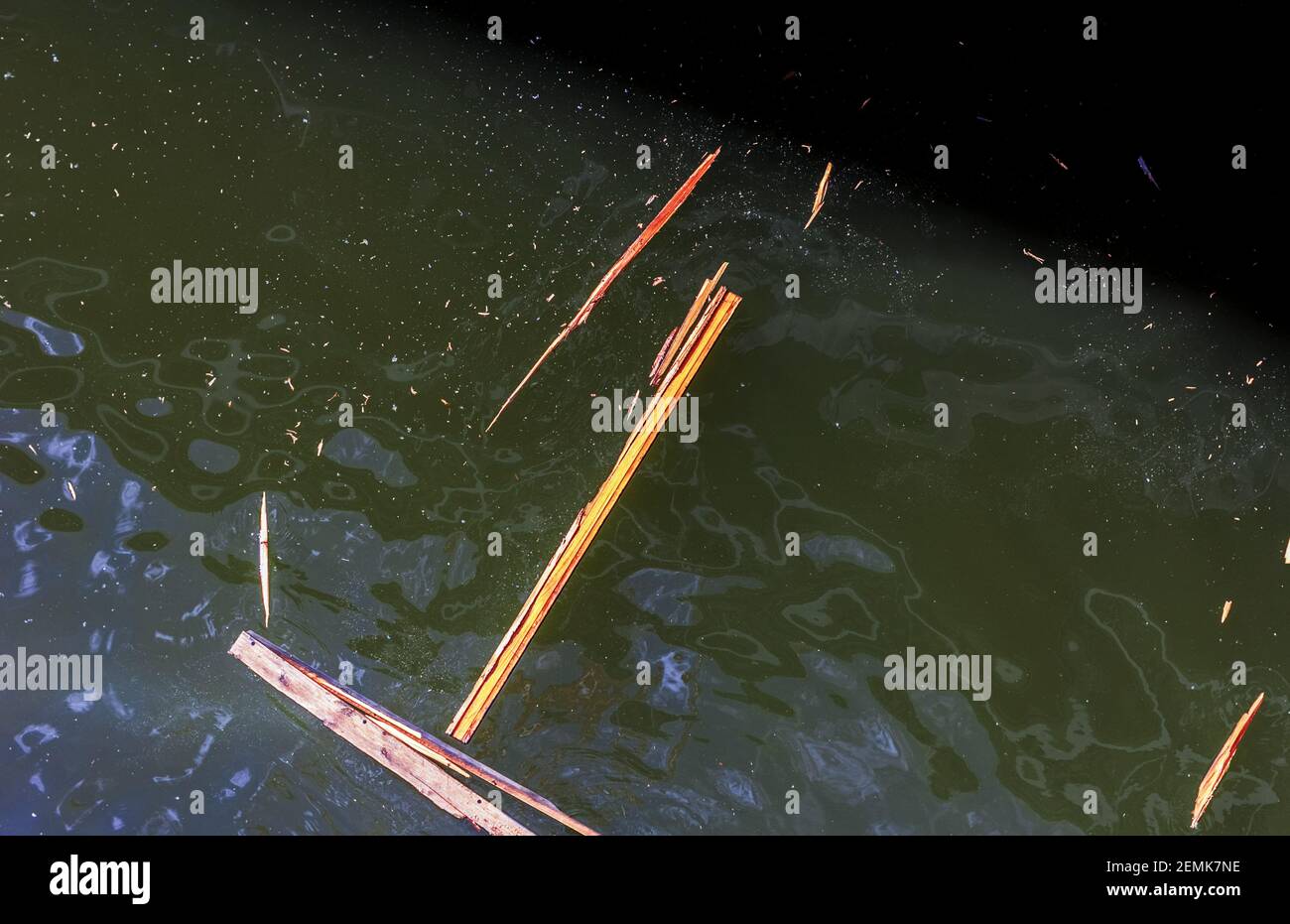 Echte Holzspäne im schlammigen Wasser an bewölkten Tagen und Wetter Stockfoto