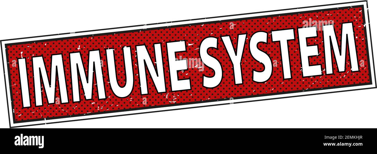 IMMUNSYSTEMSTEMPEL im Grunge Design Isolaten auf weißem Hintergrund. Vektorgrafik Stock Vektor
