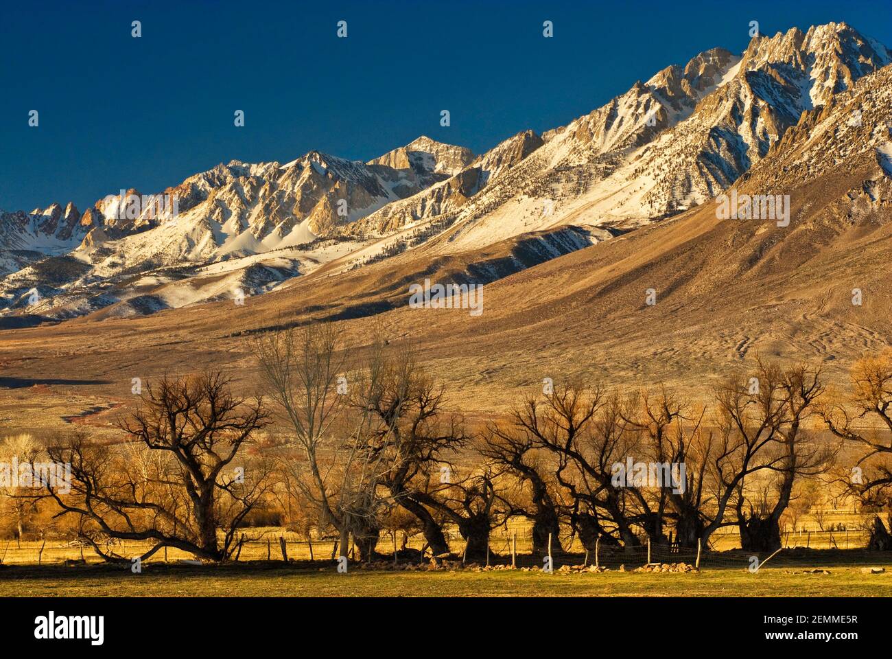 Mt Humphreys in der östlichen Sierra Nevada im Winter von Round Valley in der Nähe von Bishop, Kalifornien, USA Stockfoto