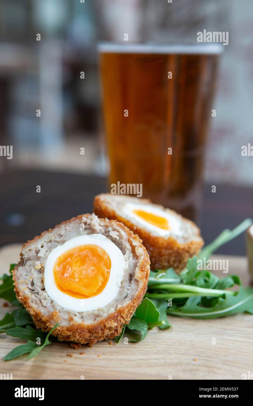 Schottische Eier und ein Pint Bier Stockfoto