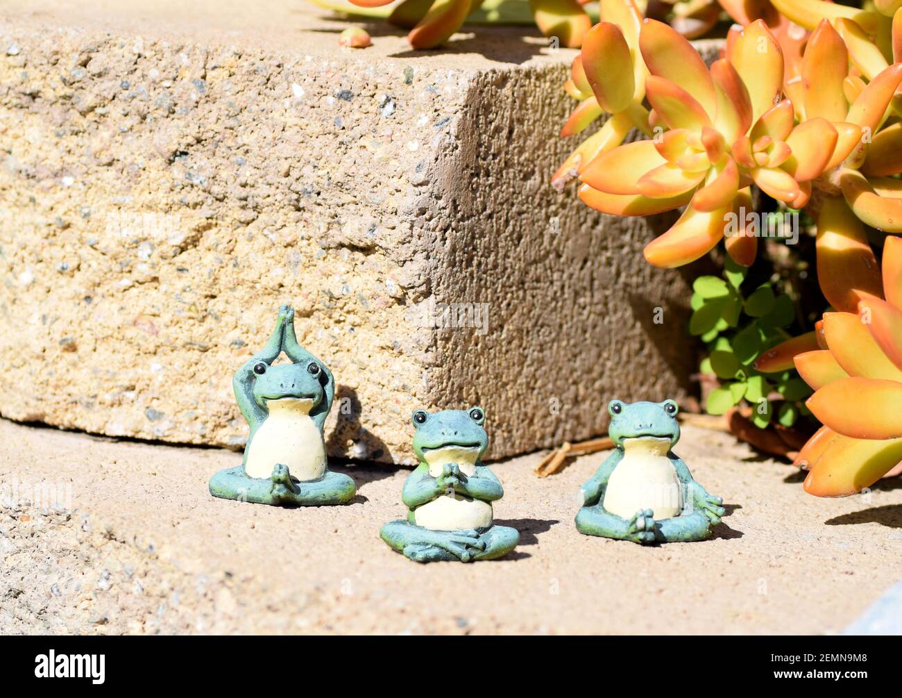 Keramischer gartenfrosch Fotos und Bildmaterial in hoher Auflösung