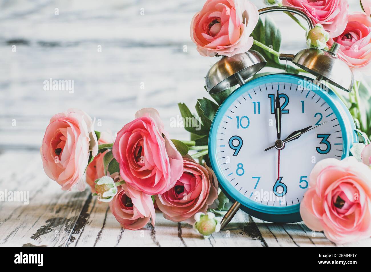 Stellen Sie Ihre Uhren mit dieser Uhr und Ranunculus Blumen über einem weißen Holztisch zurück. Sommerzeit-Konzept. Selektiver Fokus mit unscharfem Rücken Stockfoto