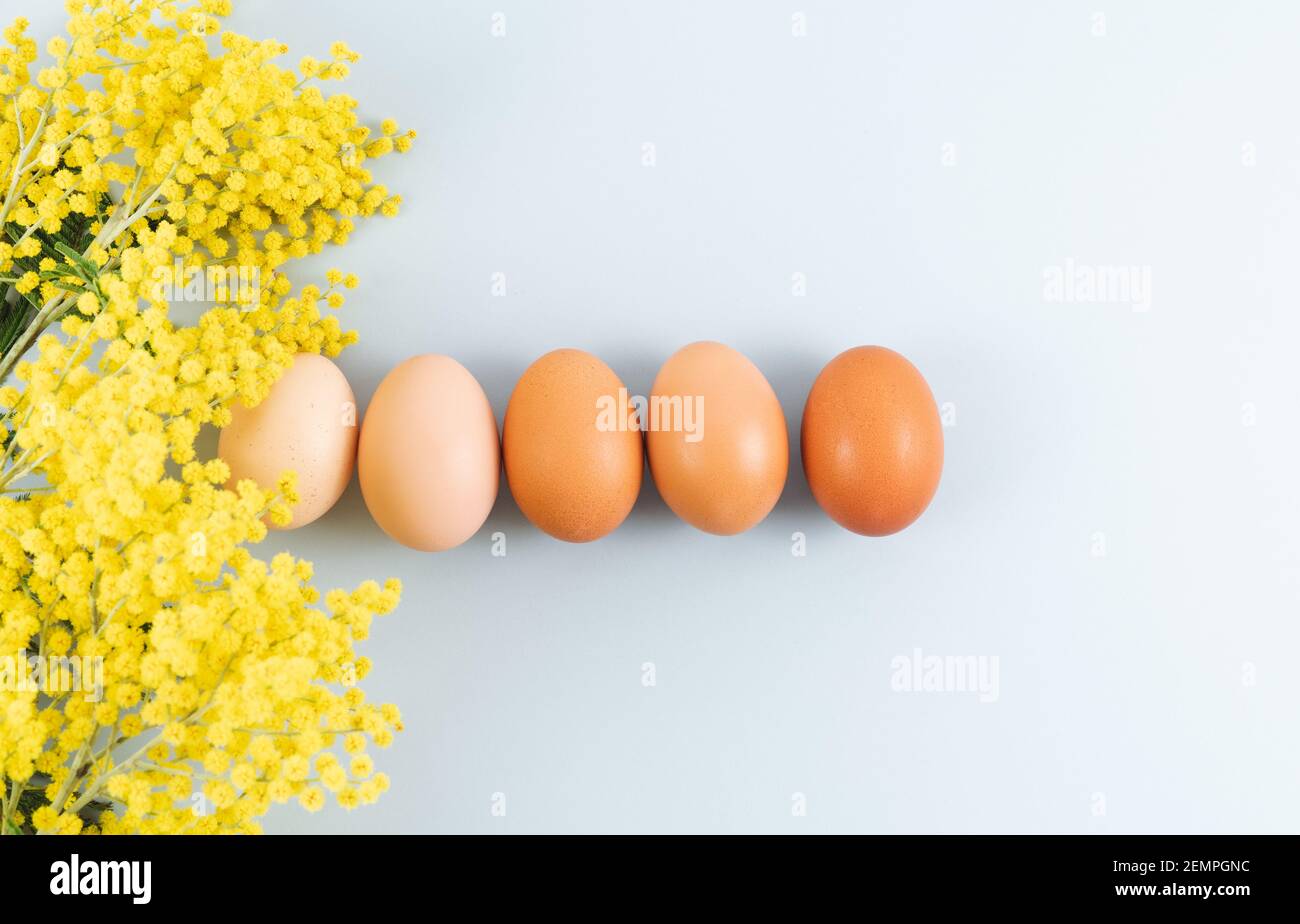 Eier mit verschiedenen Tonalitäten auf blauem Hintergrund mit gelben Blüten auf blauem Hintergrund. Speicherplatz kopieren. Stockfoto