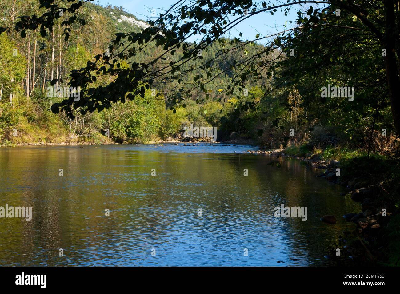Río Nansa, Camijanes, Kantabrien Stockfoto