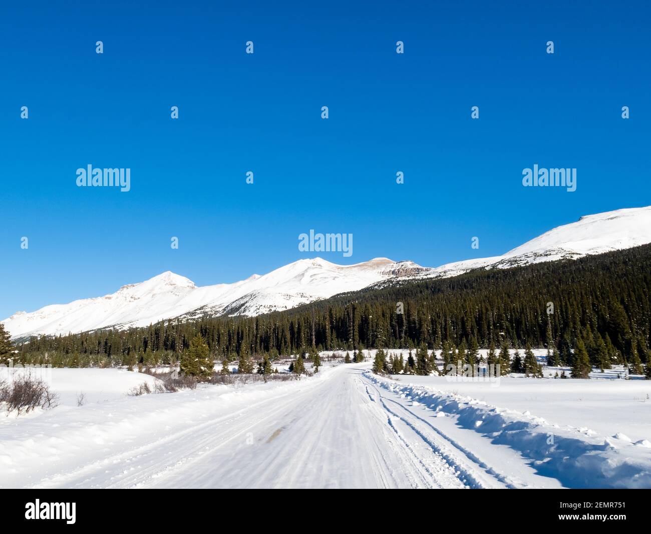Panoramasicht auf den Icefields parkway (Highway 93) in Alberta, Kanada Stockfoto