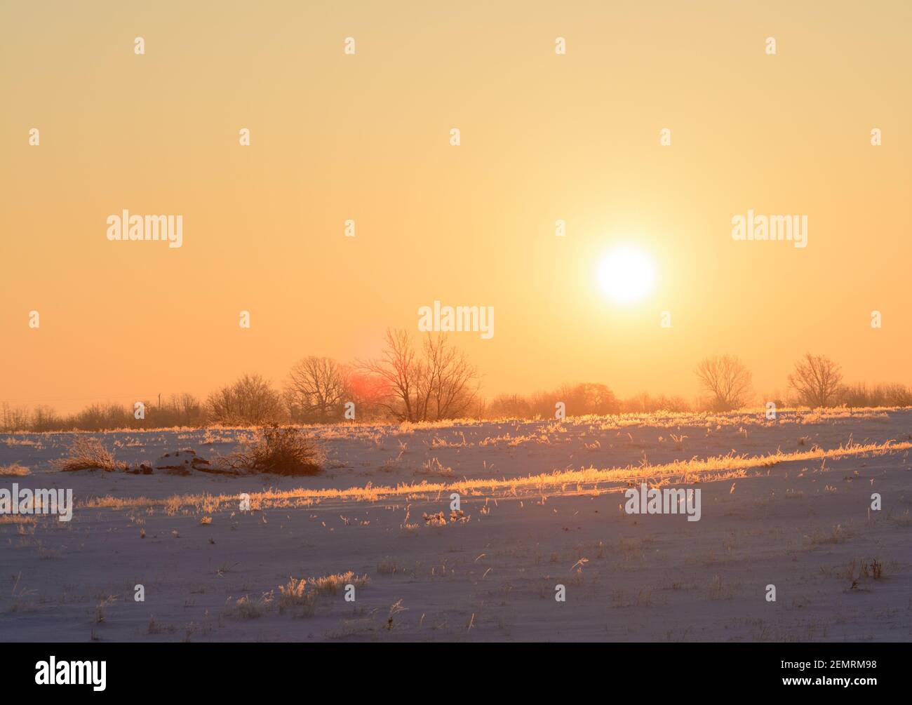 Die Sonne geht an einem sehr kalten Wintermorgen über einer verschneiten Weide auf, mit einem kleinen Sonneneinbruch und konzentrieren sich auf Bäume auf dem Hügel Stockfoto
