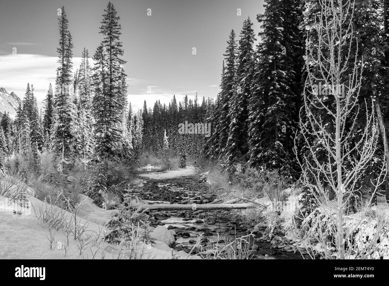 Schwarz-Weiß-Fotografie des Maligne River im Jasper National Park, Kanada Stockfoto