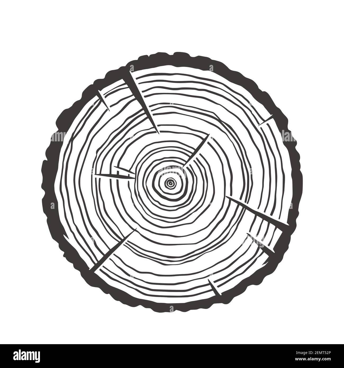 Wachstumsringe Ausgeschnittene Stockfotos Und Bilder Seite 5 Alamy