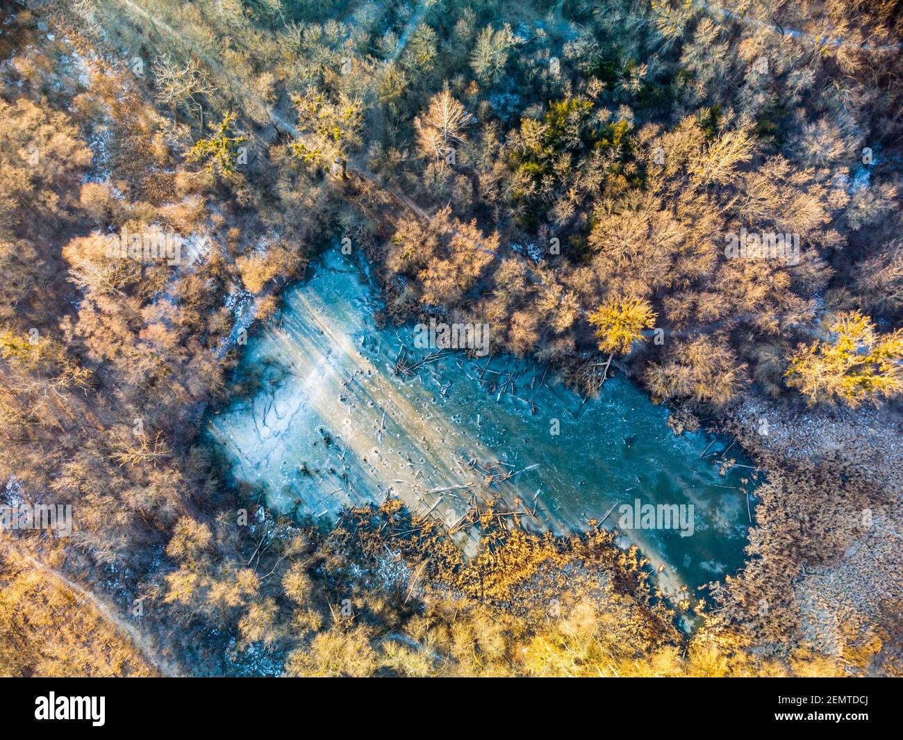 Luftdrohne Winterlandschaft auf gefrorenen winterlichen kleinen wilden See im Wald in warmen Sonnenuntergang Licht. Fliegen Sie über Naturpark Luftaufnahme 90 Grad Stockfoto