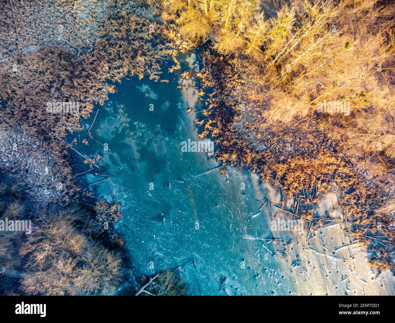 Luftdrohne Winterlandschaft auf gefrorenen winterlichen kleinen wilden See im Wald in warmen Sonnenuntergang Licht. Fliegen Sie über den Naturpark Luftbild Stockfoto