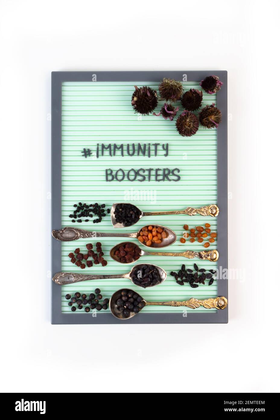 Immunitätsverstärker-Konzept. Funktionelle Ernährung zur Unterstützung eines gesunden Immunsystems. Pflanzliche Präparate und getrocknete Beeren zur Stärkung der Immunität. Stockfoto