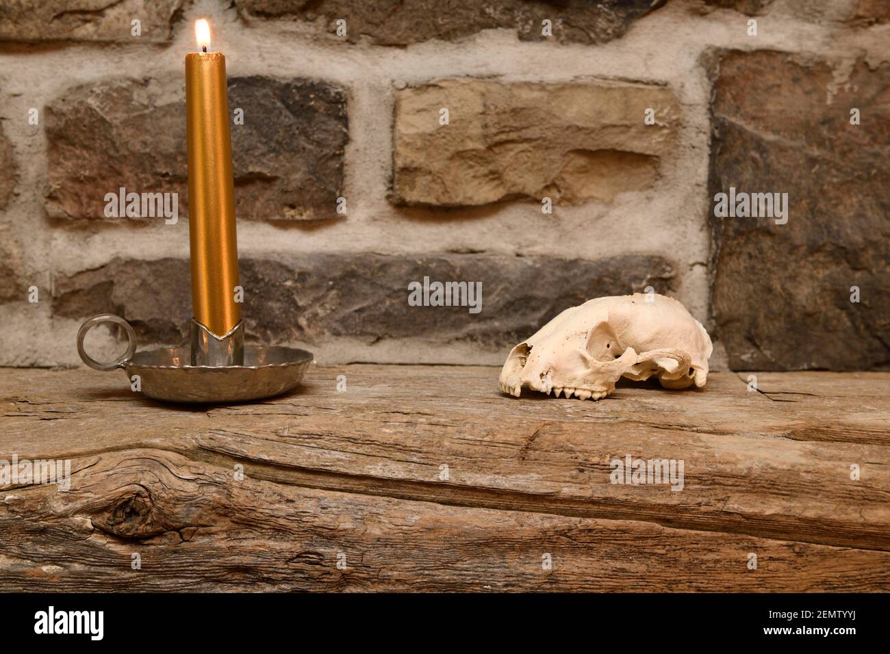 Vintage Zinn Kerzenhalter mit Waschbär Totenkopf auf rustikal verwittert Kiefer Kaminsims über Stein Kamin Stockfoto