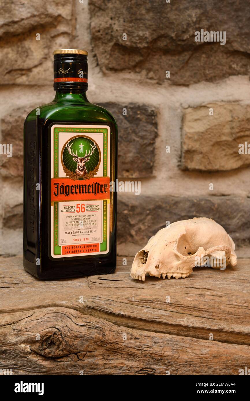 Flasche Jagermeister Kräuterlikör und Waschbär Schädel auf rustikal Pinienmantel über Steinkamin Stockfoto