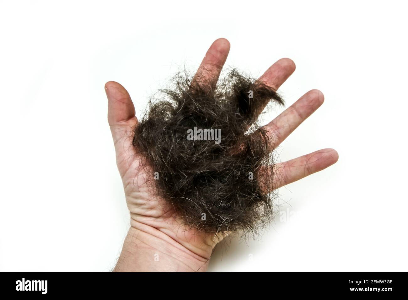 Die Hand eines Mannes mit einer Handfläche voller Haare. Symbol für den Haarschnitt oder Haarausfall. Stockfoto