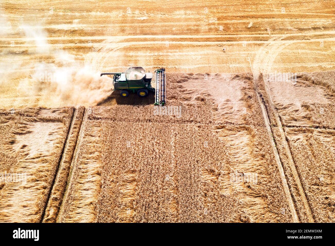 Ernte Weizenkorn im Sommer Feld. Harvester kombinieren in einer Wolke aus Staub glüht von der untergehenden Sonne. Luftaufnahme von oben Stockfoto