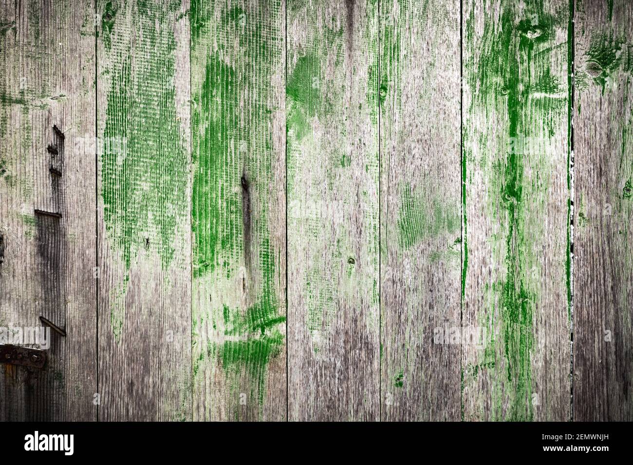 Grüne und graue Holzgrunge Brett Nahaufnahme. Natürliche Textur. Kann wie Naturhintergrund verwendet werden Stockfoto
