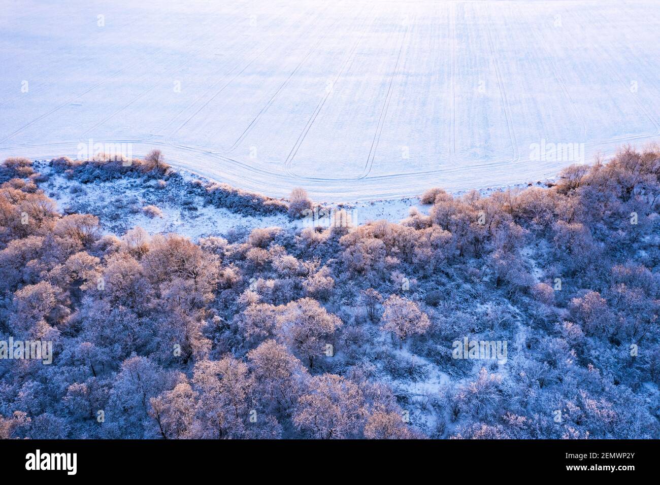 Luftdrohne von oben nach unten fliegen über gefrorenen Winterwald und Feld. Bäume bedeckt mit Schnee und Frost. Landschaftsfotografie Stockfoto