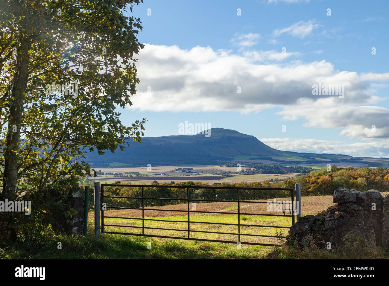 Felder bei Auchtermuchty mit West Lomond Hill im Hintergrund, Fife, Schottland. Stockfoto