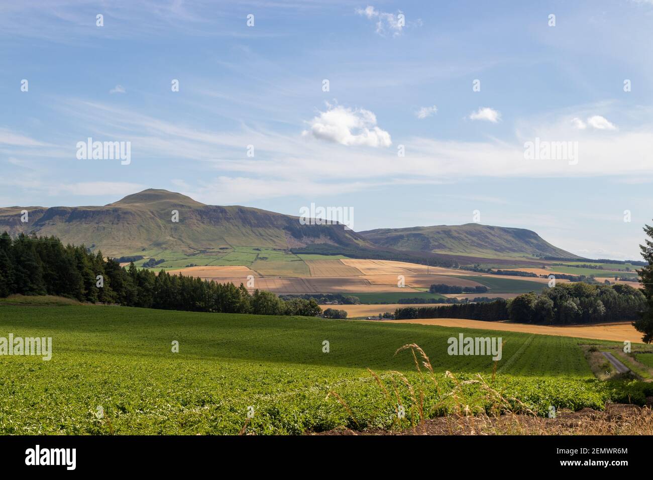Ein schöner Sommertag in Schottland mit Blick über grüne Felder in Richtung West Lomond und Bishop Hill, Fife, Schottland. Stockfoto