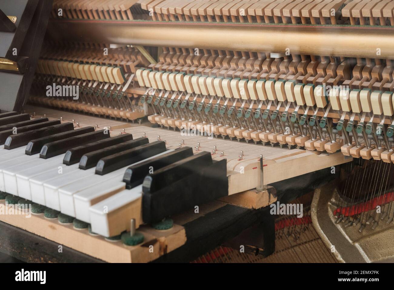 Das Innere eines Klaviers ist ein Meisterstück der Technik, der Saitenrahmen fasst 30 Tonnen Spannung, die von rund 230 Saiten mit 88 Tonhöhen erzeugt werden. Th Stockfoto